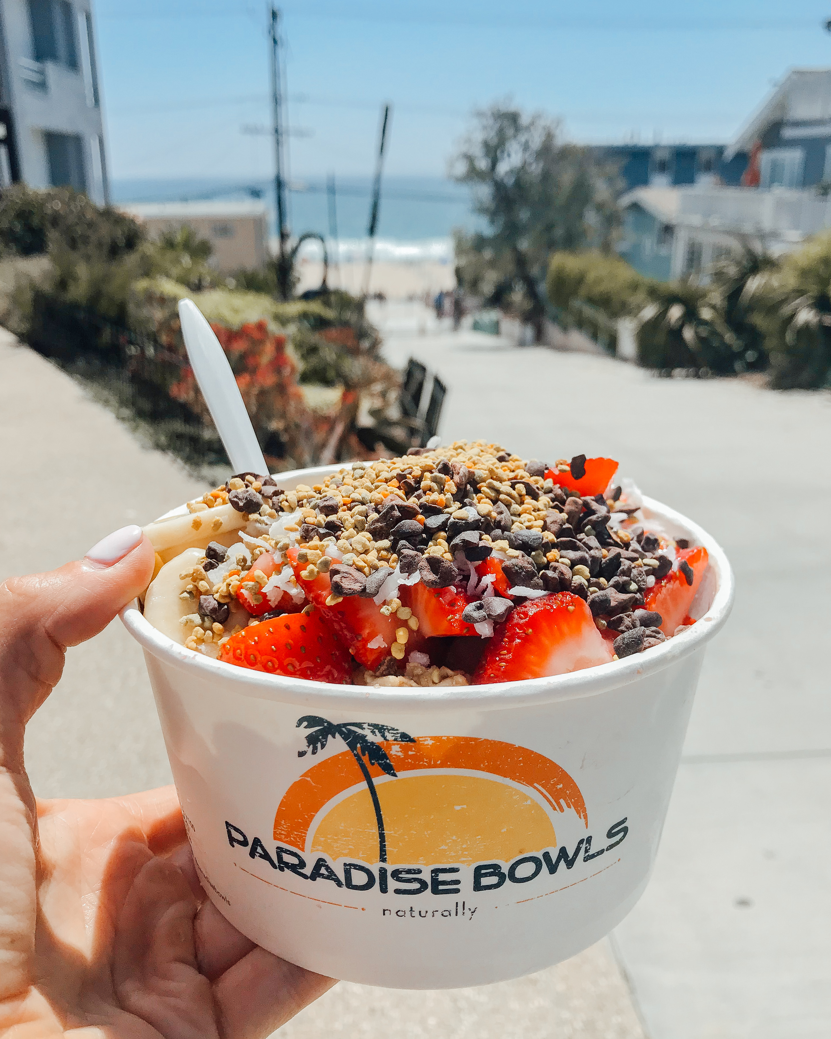 Paradise Bowls